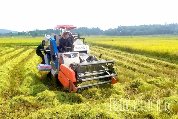 Thúc đẩy cơ giới hóa trong sản xuất nông nghiệp