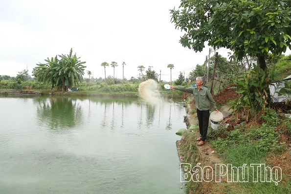 Hội Nông dân xã Vĩnh Hưng học và làm theo Bác bằng việc làm thiết thực