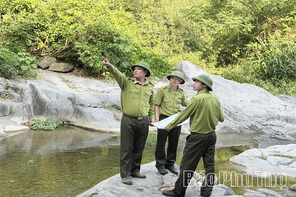 Giữ màu xanh Tam Đảo trước nguy cơ cháy rừng mùa nắng nóng