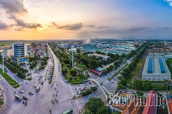 The Dynamic Vibe of Binh Xuyen