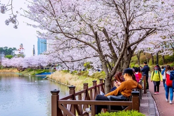 Các điều kiện giúp khách Việt xin được visa Hàn Quốc 10 năm