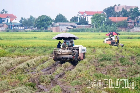 Lâm Thao khơi thông nguồn lực, tạo đột phá để tăng trưởng nhanh và bền vững