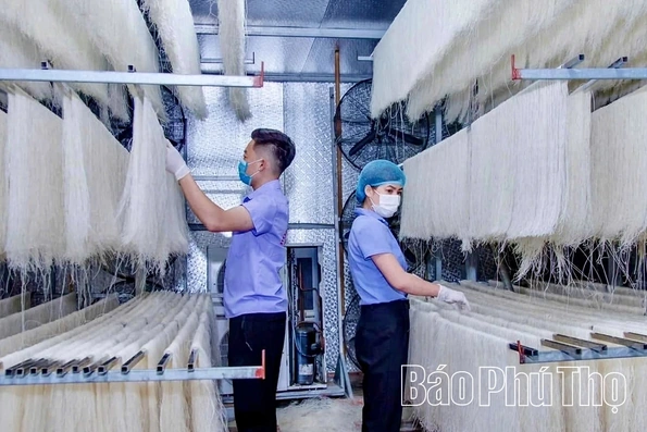 Thúc đẩy nông nghiệp tuần hoàn, tích hợp đa giá trị