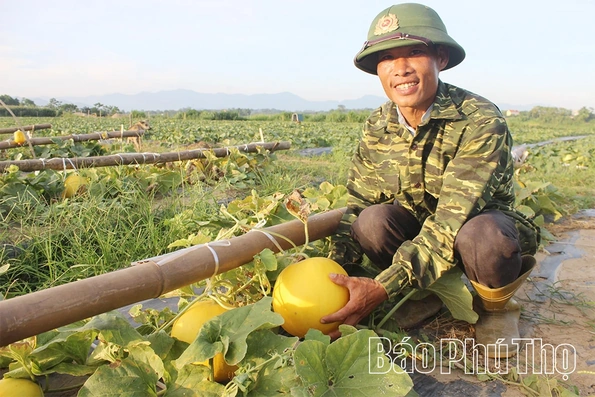 Liên kết tạo lực cho hợp tác xã
