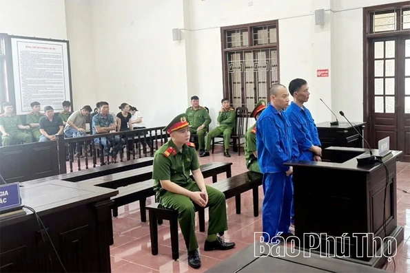 Vận chuyển gần 30kg ma túy, 2 bị cáo lĩnh án tù chung thân