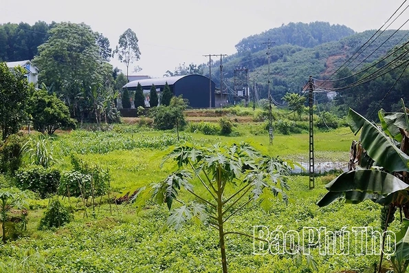 Quảng Yên siết chặt quản lý quỹ đất công ích sau sáp nhập