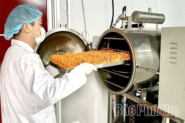 Hiền Quan&nbsp;thúc đẩy&nbsp;sản xuất&nbsp;nông nghiệp&nbsp;gắn với&nbsp;xây dựng nông thôn mới