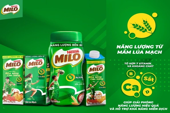 Giá cả thị trường ngày 8/6/2026
