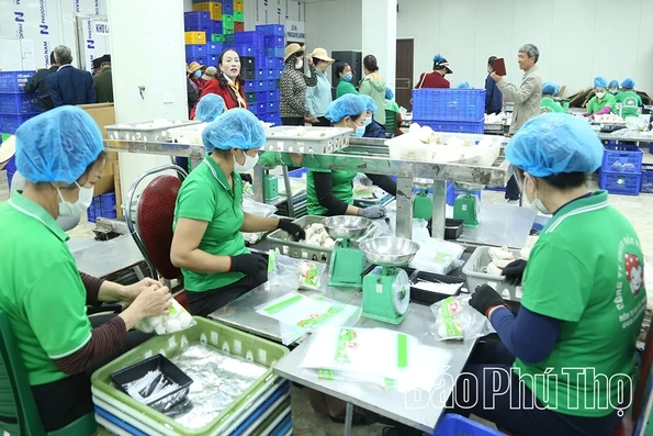 Đồng bộ các giải pháp nâng cao giá trị sản xuất nông nghiệp