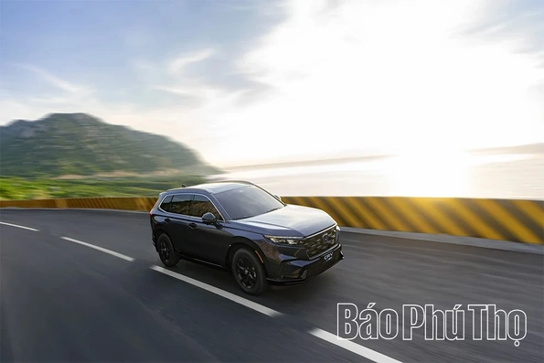 Honda Việt Nam: Tất cả ô tô, xe máy chính hãng đều sử dụng được xăng sinh học E10