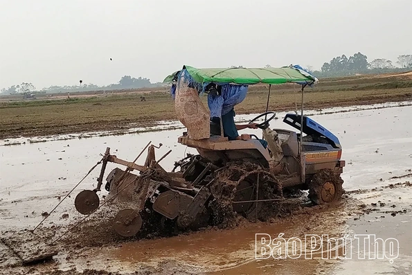 Thọ Văn vào vụ mới