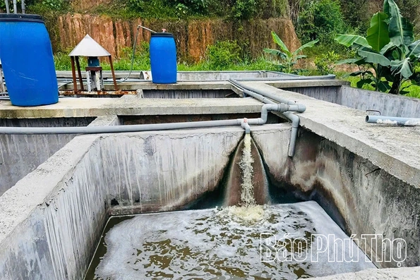 Đông Thành xử phạt doanh nghiệp chăn nuôi xả thải trái phép