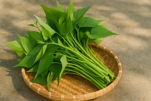 Giá cả thị trường ngày 18/6/2026