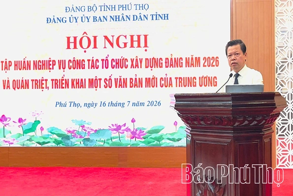 Đảng ủy UBND tỉnh: Tập huấn nghiệp vụ công tác tổ chức xây dựng Đảng