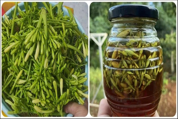 4 tác dụng của hoa đu đủ đực ngâm mật ong&nbsp;