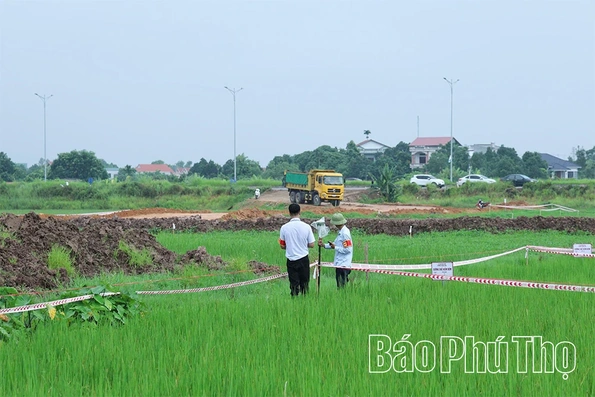 Cưỡng chế kiểm đếm bắt buộc để giải phóng mặt bằng dự án thu gom, xử lý nước thải