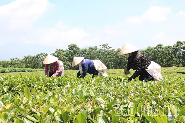 Yên Sơn ngày&nbsp;mới
