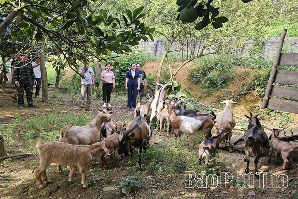 Điểm tựa giúp nông dân giảm nghèo bền vững
