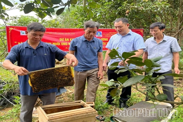 Phát triển nghề nuôi ong bền vững