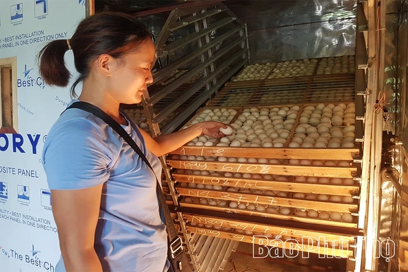 Thượng Long khơi dậy động lực phát triển kinh tế