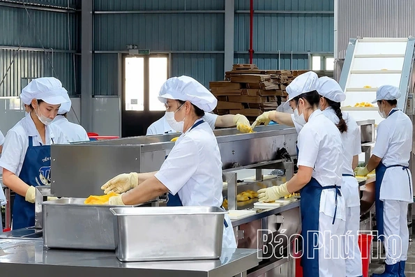 Xây dựng thương hiệu sản phẩm Phú Thọ: Chìa khóa chinh phục thị trường quốc tế
