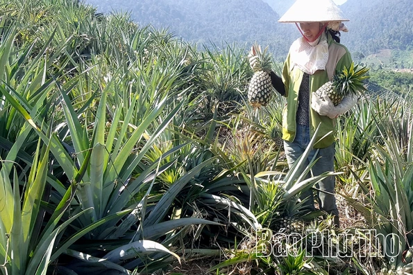 Hiệu quả giảm nghèo ở xã Trạm Thản