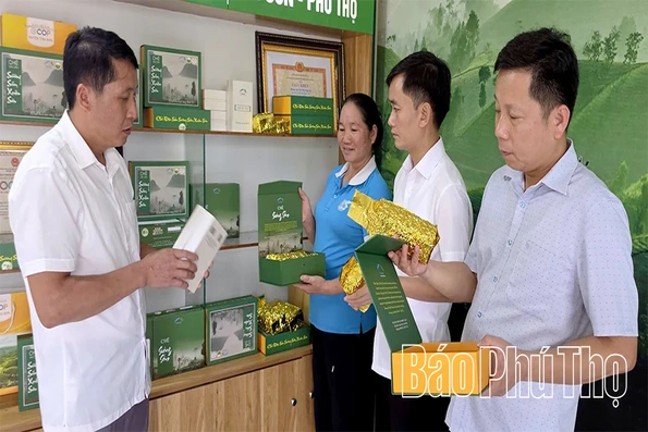 Hơi thở mới trên vùng cao Xuân Đài