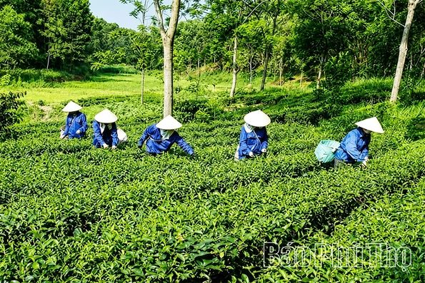 Động lực để nông dân thi đua phát triển kinh tế