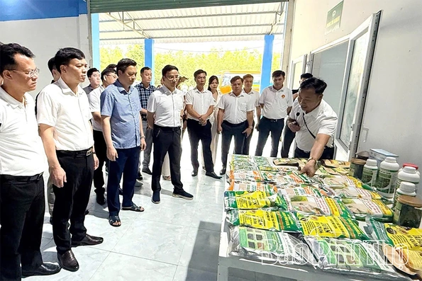 Xuân Lãng hướng tới mục tiêu phát triển bền vững