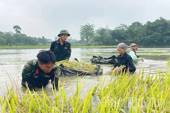 Đối thoại bất đối xứng