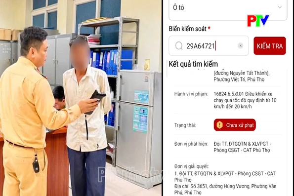 Xử phạt chủ sở hữu xe 96 lần vi phạm giao thông trên 474 triệu đồng