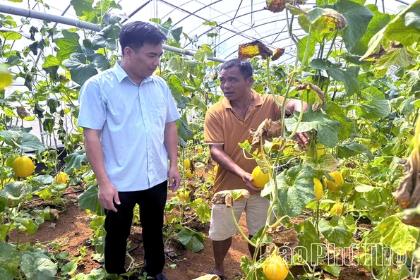 Phát triển kinh tế tập thể ở Đà Bắc