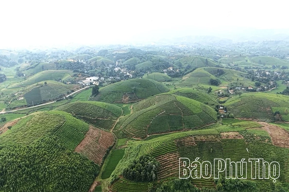 Minh Đài phát huy lợi thế, tạo bứt phá cho sản phẩm OCOP