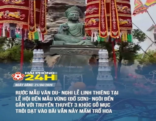 Hải Phòng 24h: Nơi lưu giữ những lát cắt chân thực và nhịp sống sôi động của Thành phố Cảng