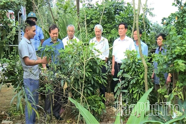 Từ sức mạnh cộng đồng đến những đổi thay ở Hợp Lý