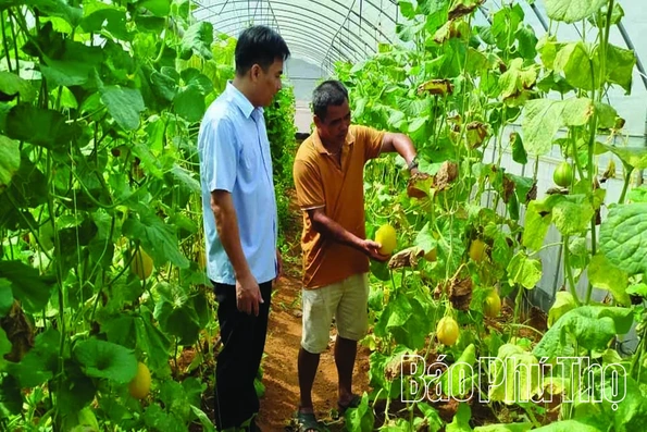 Động lực phát triển nông nghiệp bền vững