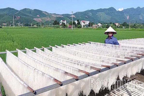 Từ hạt gạo quê đến sản phẩm OCOP