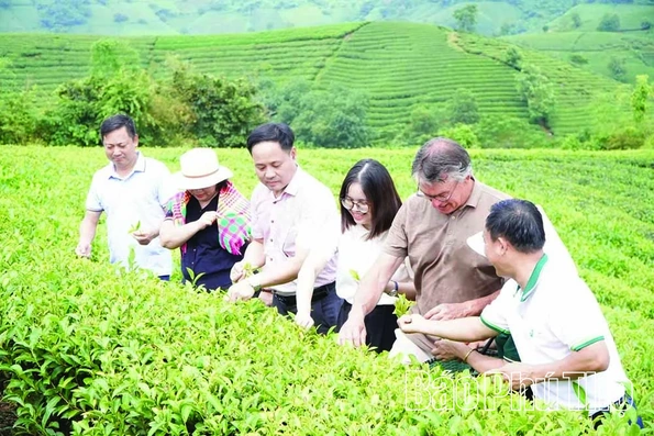 Tạo bứt phá tiềm năng du lịch xanh