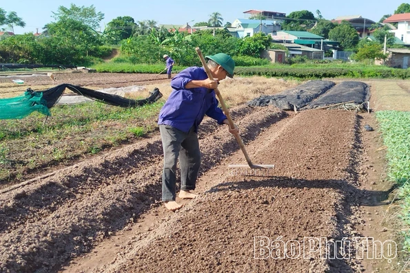 Chuẩn bị vật tư cho sản xuất vụ Đông