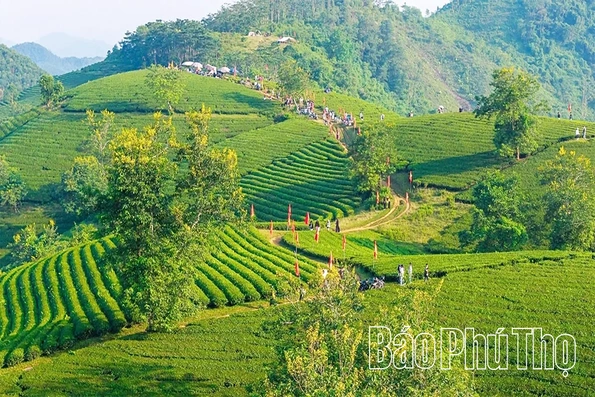 Phú Thọ đưa sản phẩm OCOP vào chuỗi giá trị du lịch