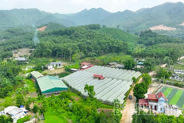 Cự Đồng phát triển kinh tế xanh, bền vững