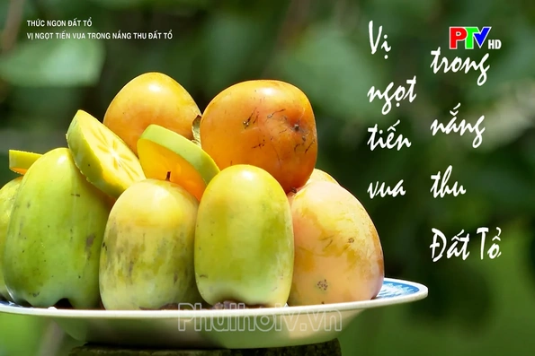 Vị ngọt tiến vua trong nắng thu đất Tổ