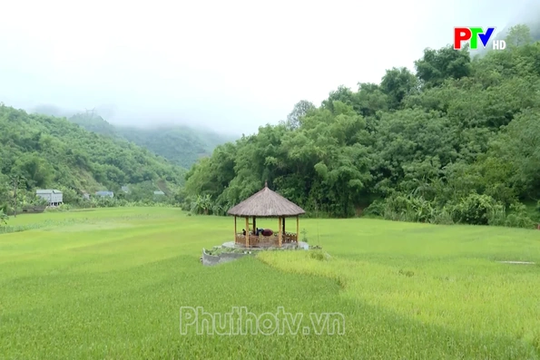 Phu Tho Culture Express - Turning culture into a driver of tourism development