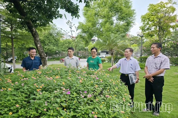 Hiệu quả bước đầu từ sáp nhập thôn, xóm, tổ dân phố