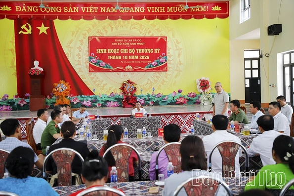 Tập trung nâng cao chất lượng sinh hoạt chi bộ; phát huy vai trò tiên phong, gương mẫu của đảng viên