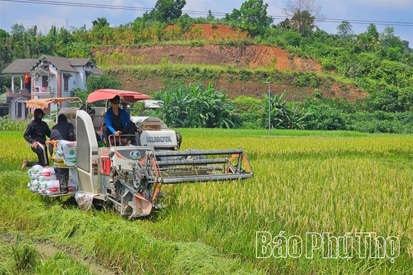 Thượng Long đẩy mạnh giảm nghèo bền vững