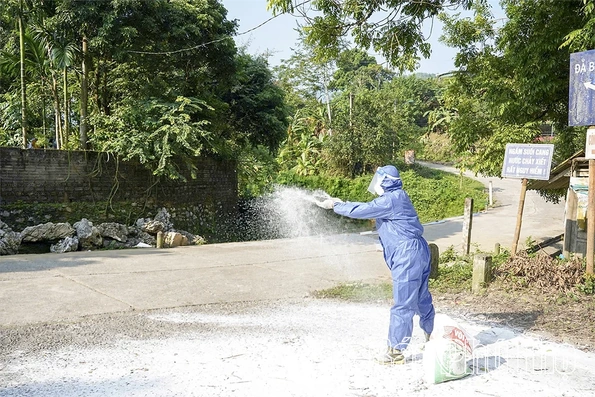 Ngăn chặn nguy cơ lây lan diện rộng dịch tả lợn châu Phi