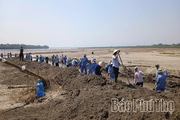 Mực nước sông Hồng xuống thấp, hàng trăm công nhân khơi dòng chảy phục vụ sản xuất nước sạch
