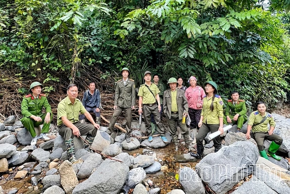 Xử lý 112 vụ vi phạm lâm nghiệp trong 9 tháng