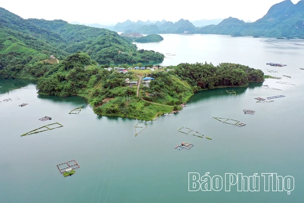 Tiền Phong tập trung nguồn lực, tạo động lực phát triển